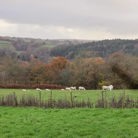 Meadowsweet בית נופש וויטבי