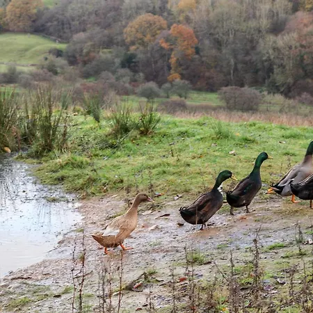 בית נופש Meadowsweet *