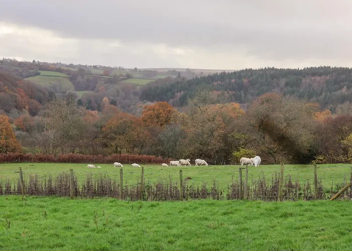 Meadowsweet בית נופש וויטבי