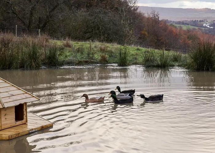 Meadowsweet וויטבי